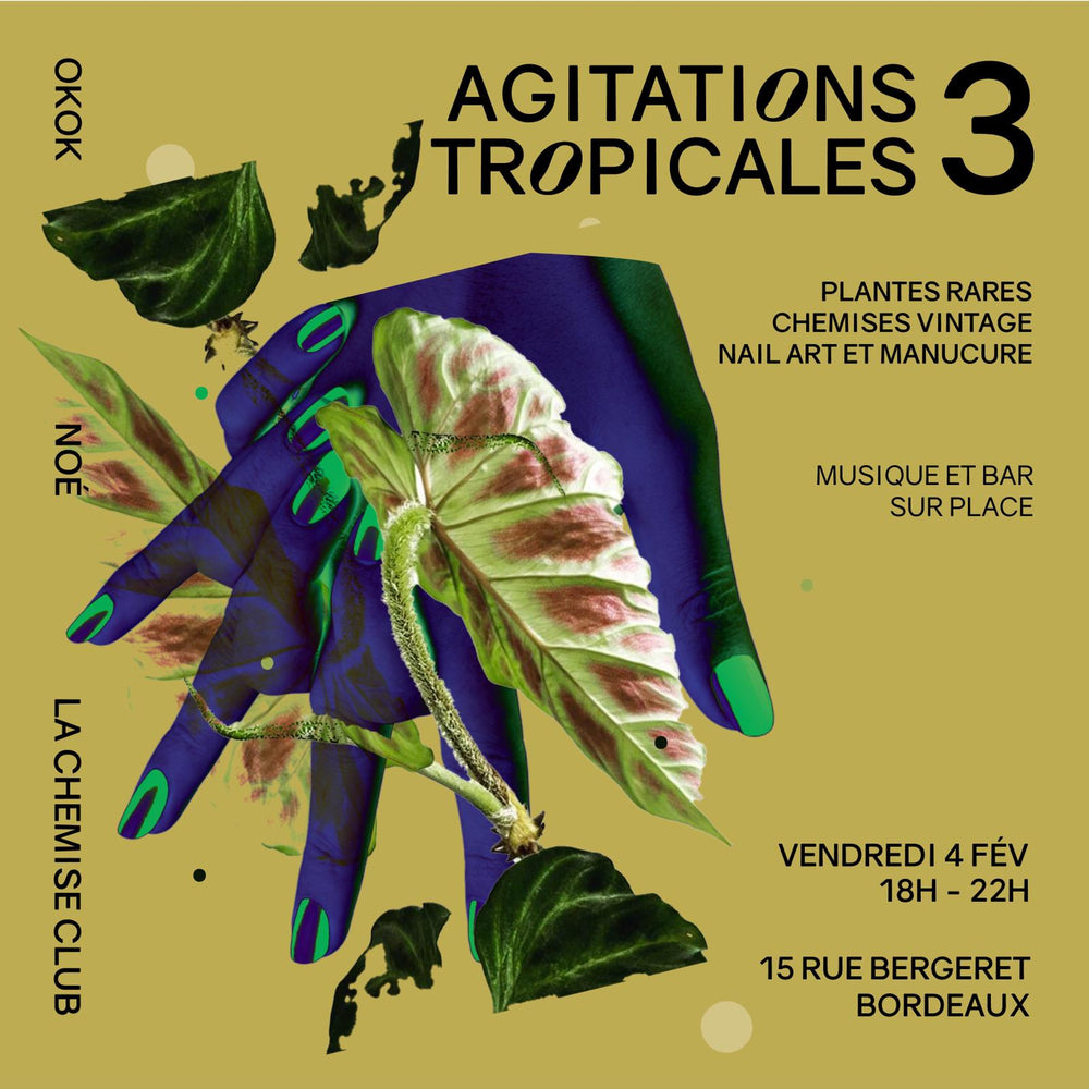 Agitations tropicales #3