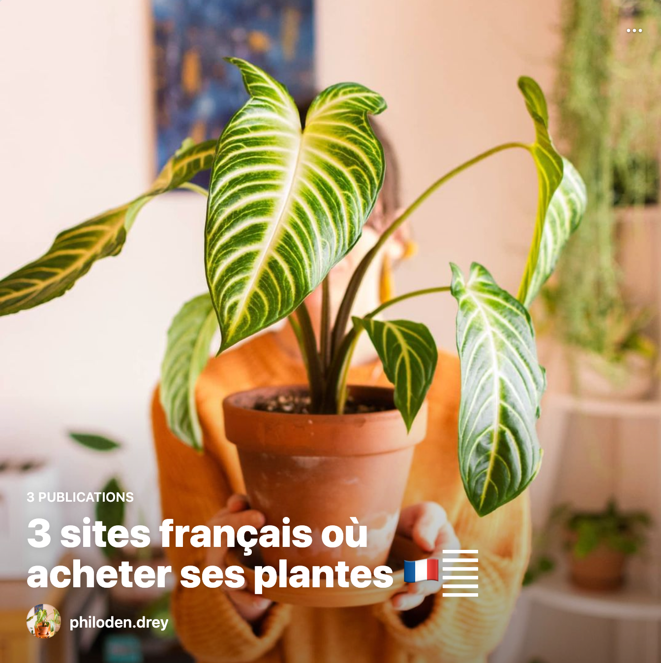 Philoden.drey - Guide insta "3 sites français où acheter ses plantes ?"