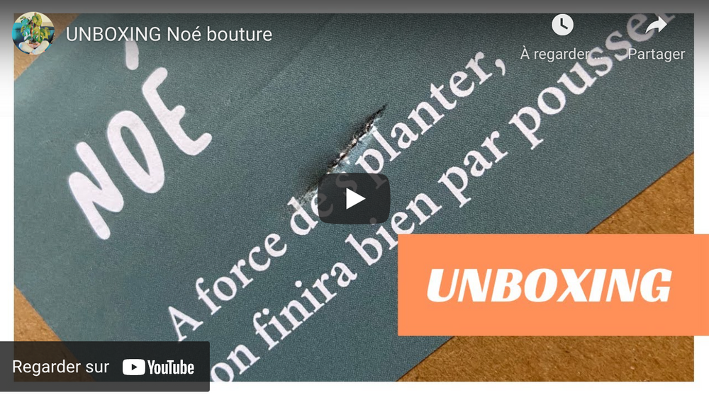 Isabouwl - UNBOXING Noé bouture