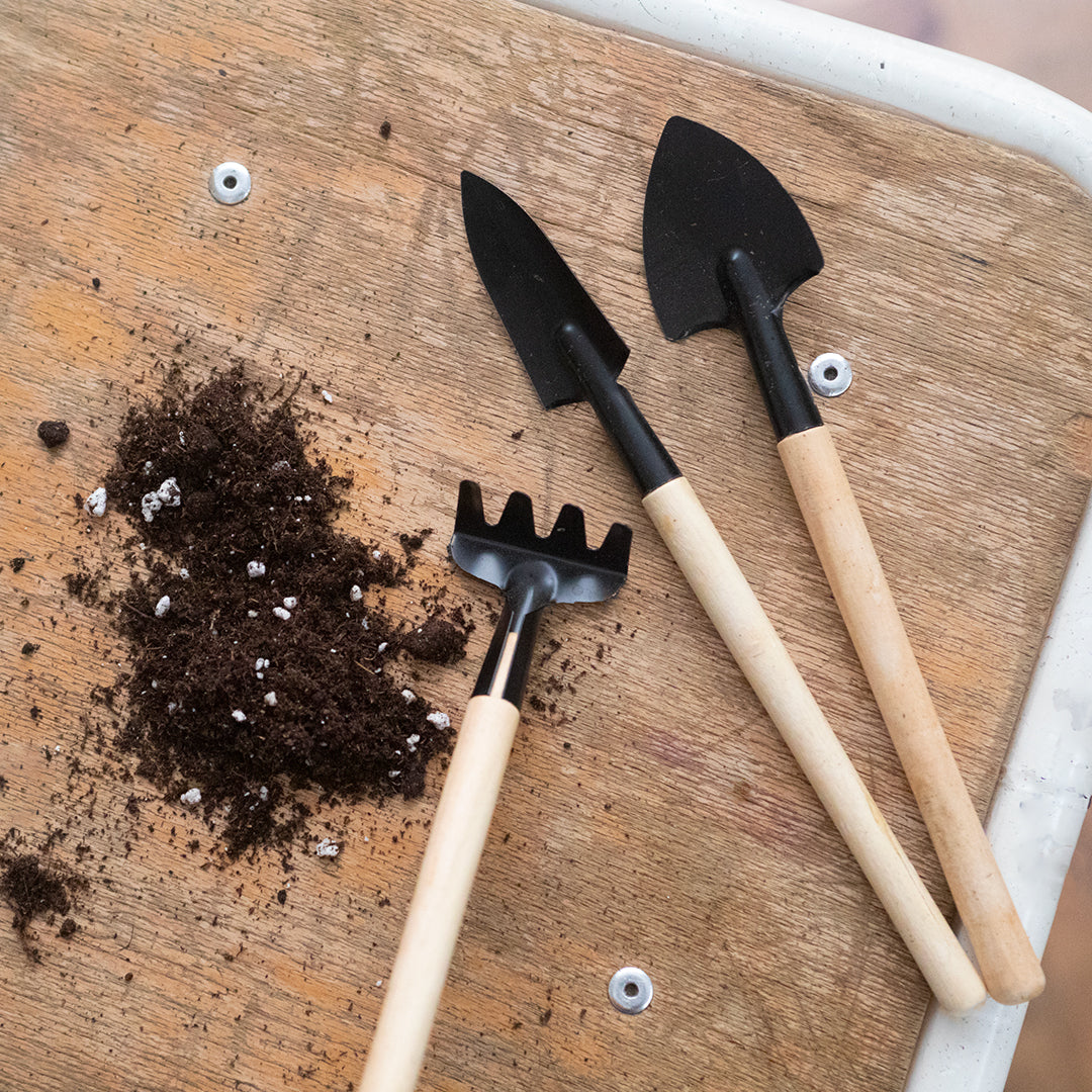 Mini outils de jardinage